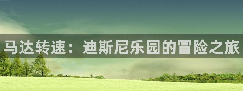 马达转速：迪斯尼乐园的冒险之旅