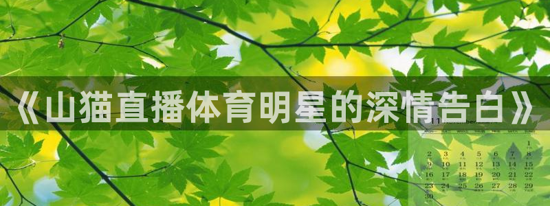 《山猫直播体育明星的深情告白》