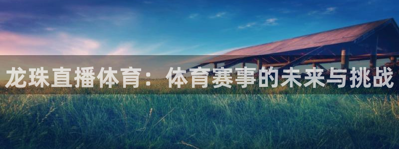 龙珠直播体育：体育赛事的未来与挑战