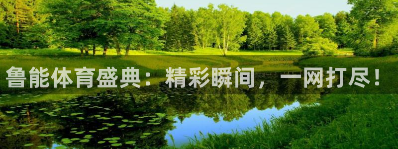 鲁能体育盛典：精彩瞬间，一网打尽！