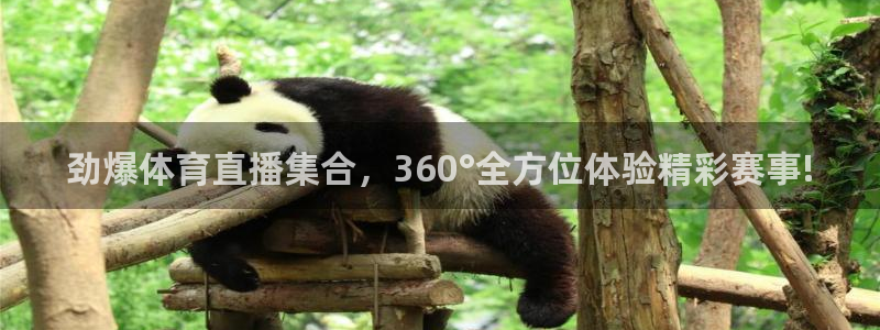劲爆体育直播集合，360°全方位体验精彩赛事!