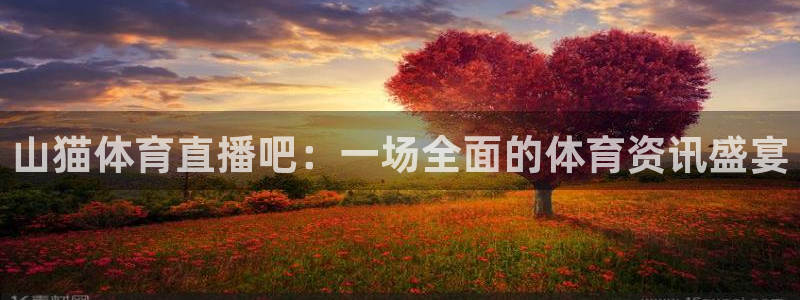 山猫体育直播吧：一场全面的体育资讯盛宴