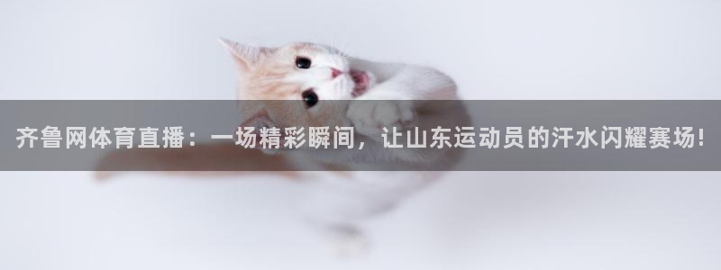 齐鲁网体育直播：一场精彩瞬间，让山东运动员的汗水闪耀赛场!
