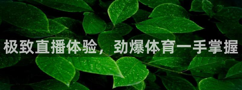 极致直播体验，劲爆体育一手掌握