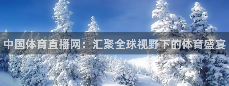 中国体育直播网：汇聚全球视野下的体育盛宴