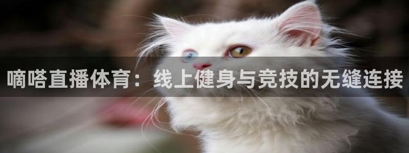 嘀嗒直播体育：线上健身与竞技的无缝连接