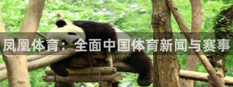 凤凰体育：全面中国体育新闻与赛事