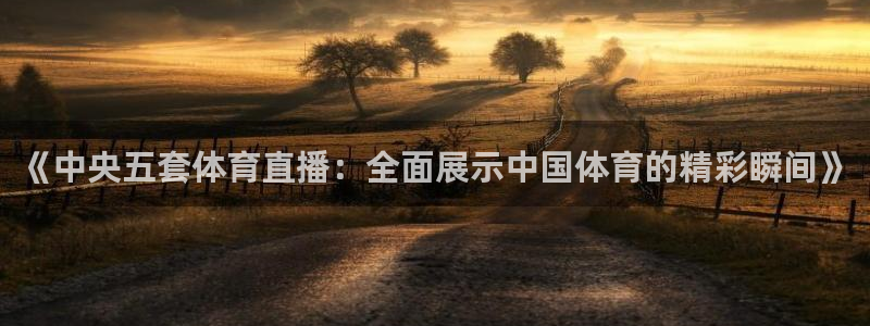 《中央五套体育直播：全面展示中国体育的精彩瞬间》