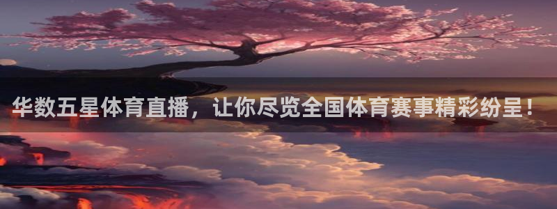 华数五星体育直播，让你尽览全国体育赛事精彩纷呈！