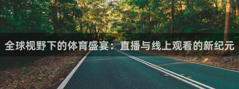 全球视野下的体育盛宴：直播与线上观看的新纪元