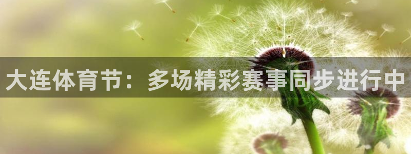 大连体育节：多场精彩赛事同步进行中