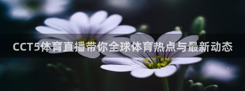 CCT5体育直播带你全球体育热点与最新动态