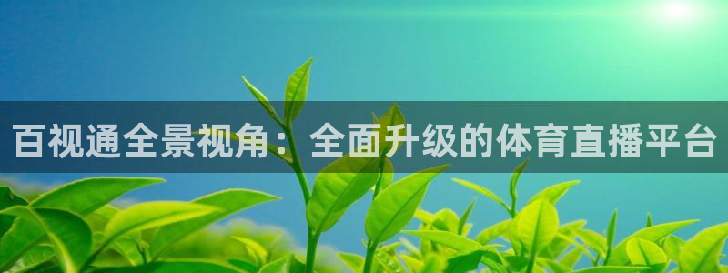 百视通全景视角：全面升级的体育直播平台
