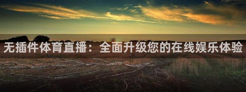 无插件体育直播：全面升级您的在线娱乐体验