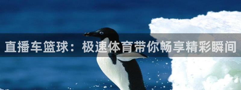 直播车篮球：极速体育带你畅享精彩瞬间
