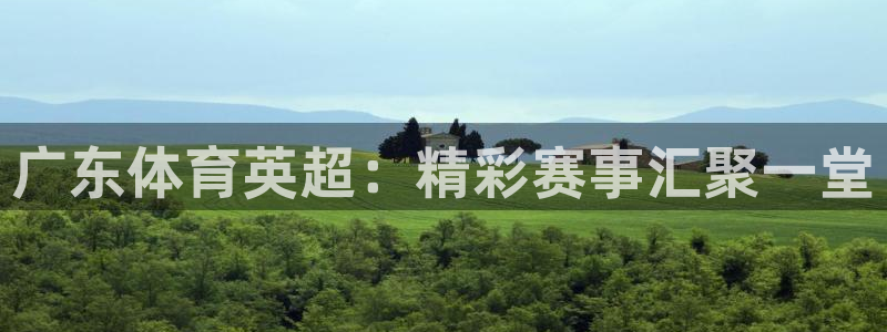 广东体育英超：精彩赛事汇聚一堂