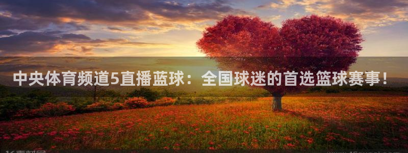 中央体育频道5直播蓝球：全国球迷的首选篮球赛事！