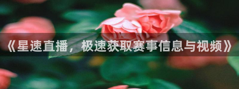 《星速直播，极速获取赛事信息与视频》