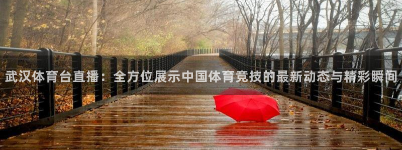 武汉体育台直播：全方位展示中国体育竞技的最新动态与精彩瞬间